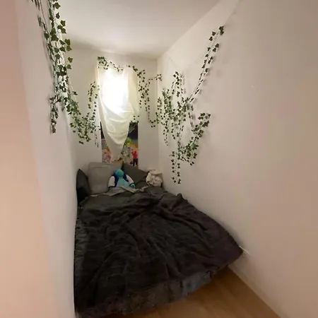 La Palmeraie Evanlucas *