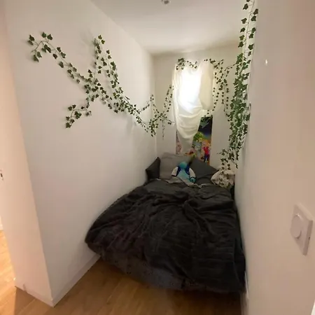 La Palmeraie Evanlucas