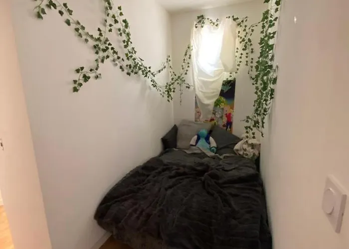 La Palmeraie Evanlucas